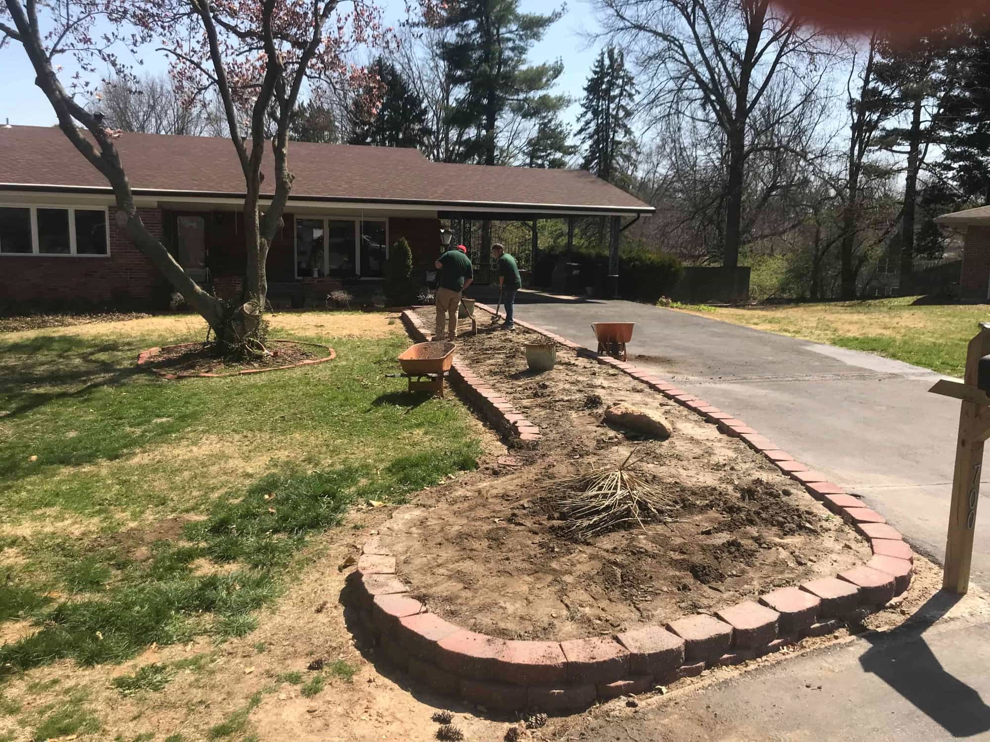 before mulching