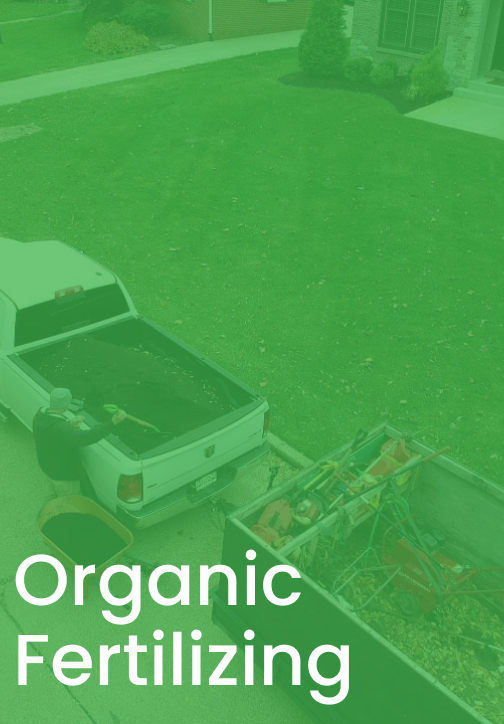 Organic Fertilizing Link