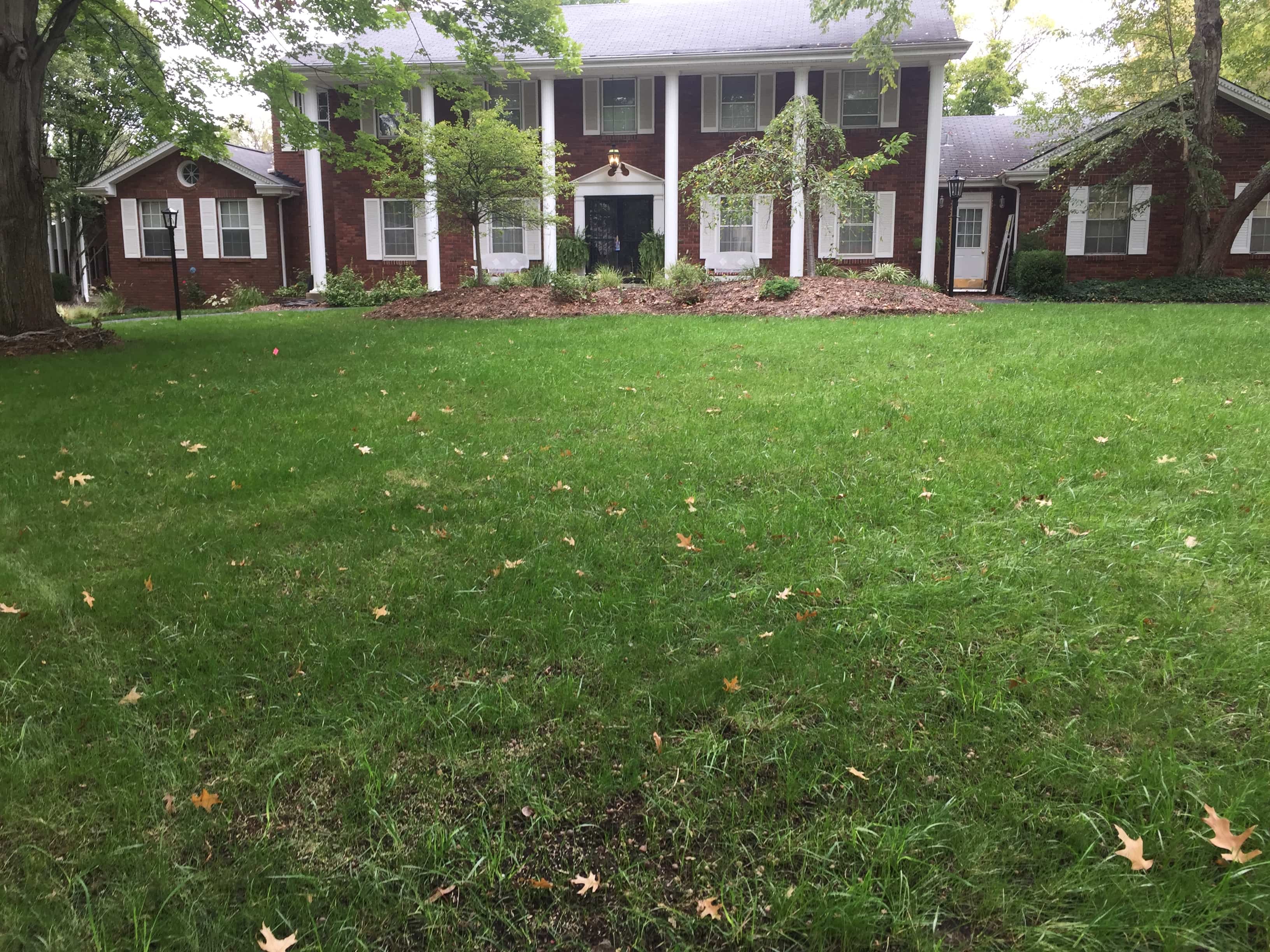 aerated lawn