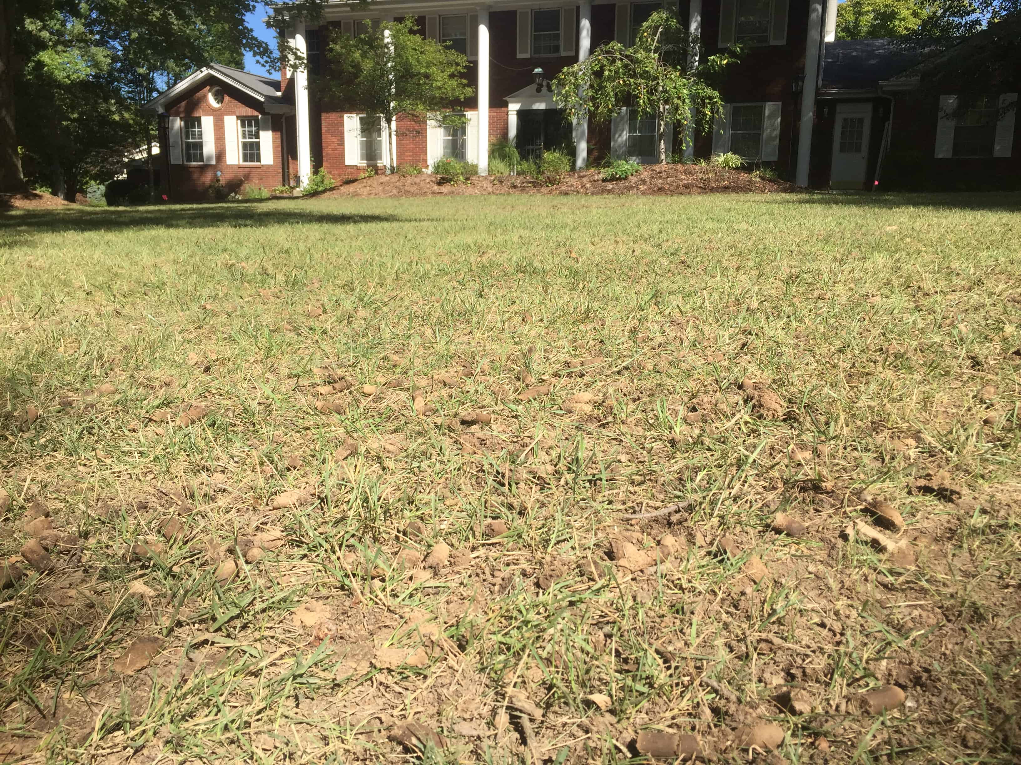 before aeration