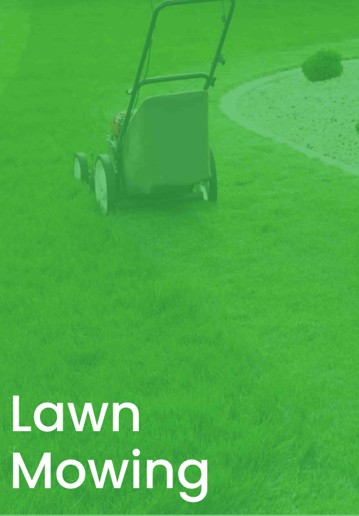 Lawn Mowing Link